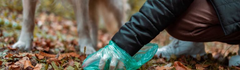 comment empêcher un chien de manger ses crottes