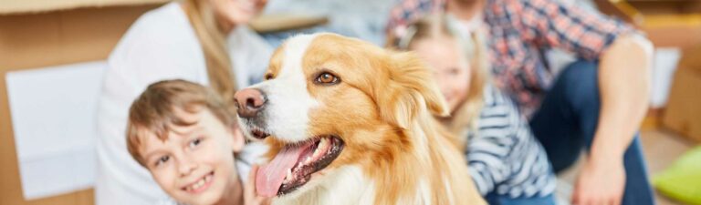 comment gérer le confinement avec mon animal de compagnie ?