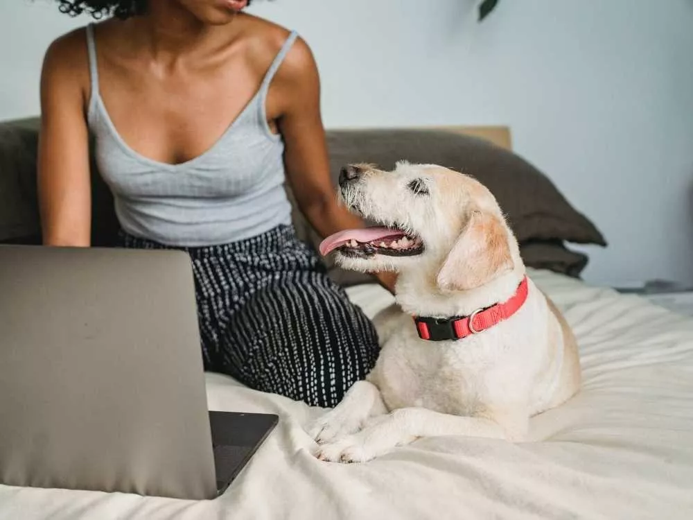 Une femme et son chien devant un ordinateur