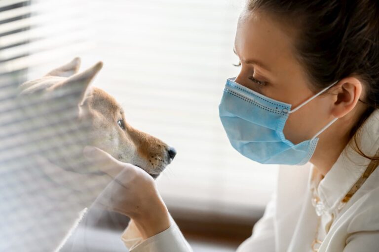 coronavirus-quand-consulter-veterinaire