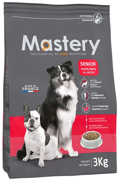 Mastery Chien Adulte au Canard