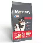 Mastery Chiot