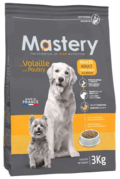 Mastery Chien Adulte au Canard