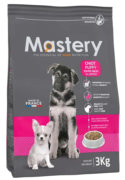 Mastery Chien Adulte au Canard