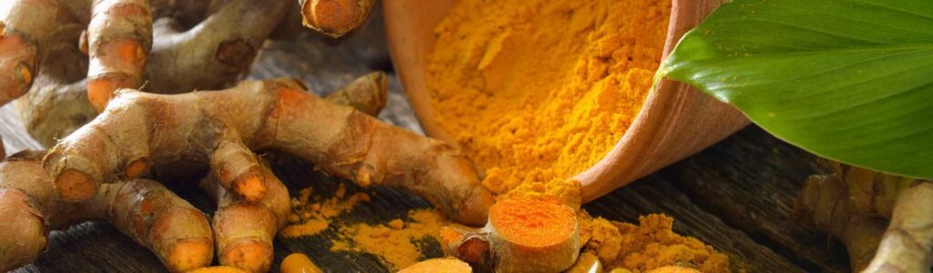 curcuma pour les chiens