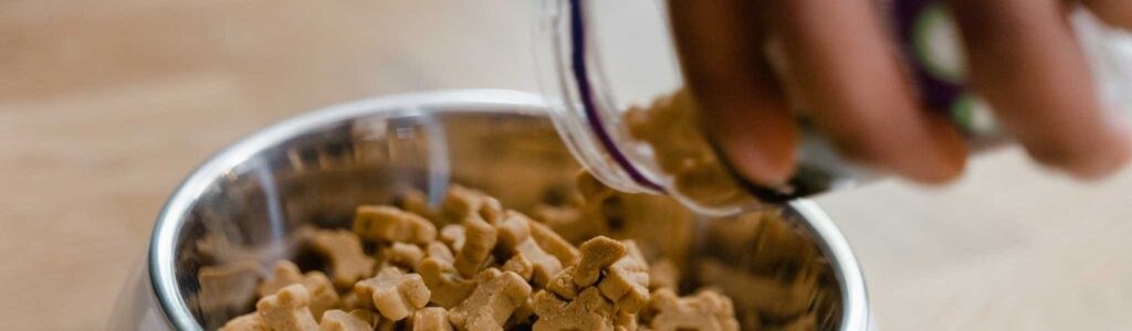 danger des croquettes sans céréales pour chien