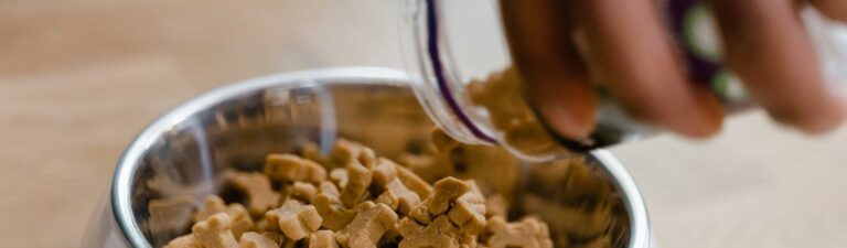 danger des croquettes sans céréales pour chien
