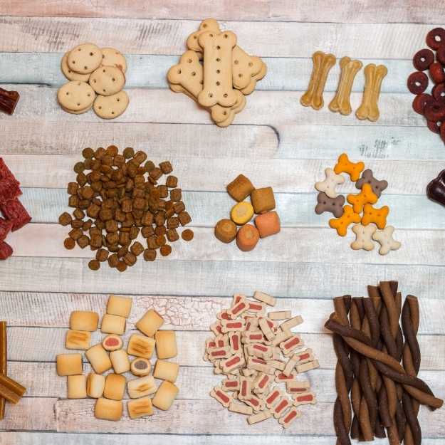 Biscuit pour chien 5 Recettes Gourmandes + Conseils Avisés