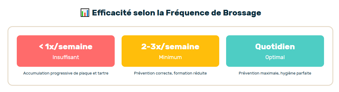 efficacité du brossage dentaire chez le chat selon la fréquence
