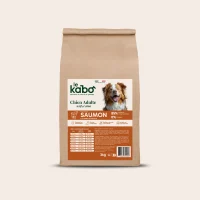 Croquettes LEKABO chien actif au saumon