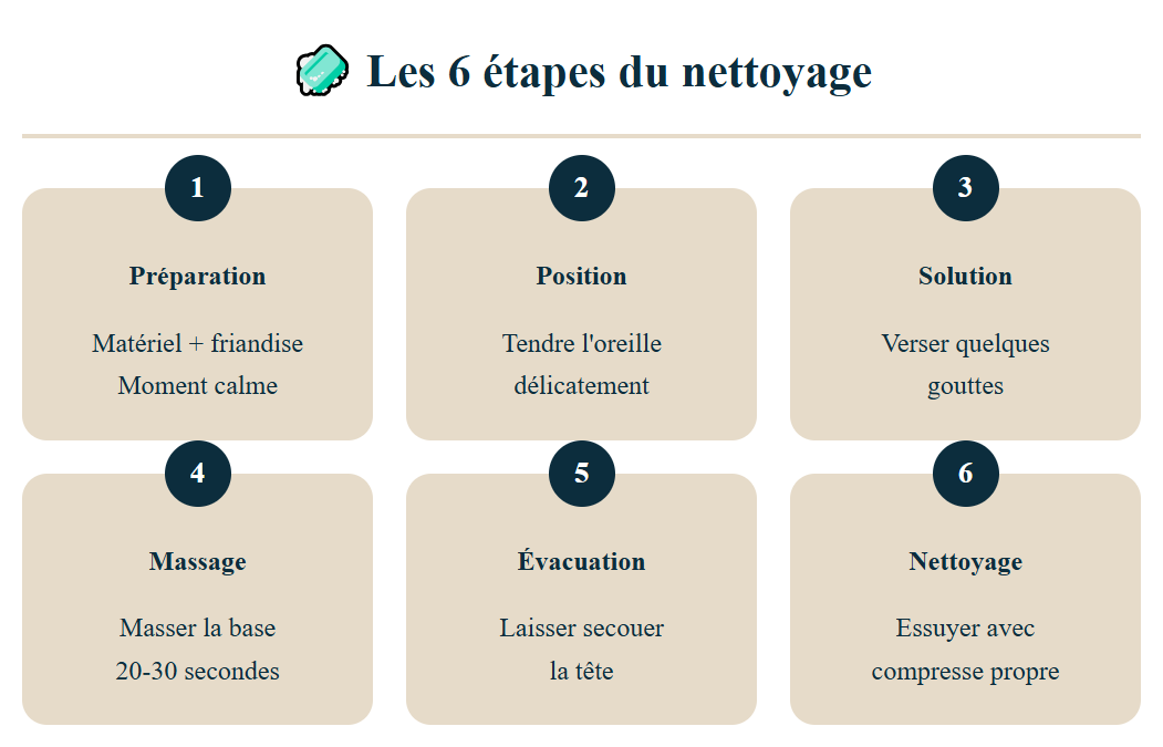 étapes du nettoyage des oreilles chez le chien