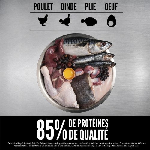 exemple marketing visuel trompeur orijen