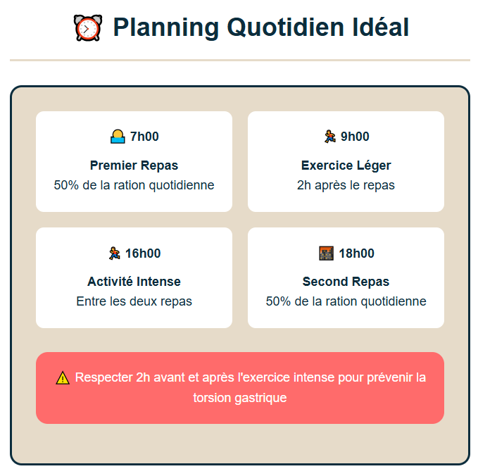 exemple de planning de repas pour un doberman adulte