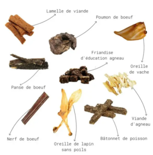 Pack mastication découverte pour chiot - Cernunos