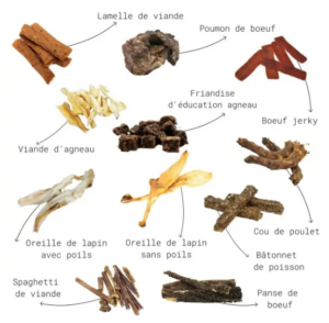 Pack mastication sans effort pour chien - Cernunos