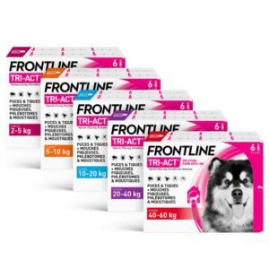 FRONTLINE TRI-ACT Chien