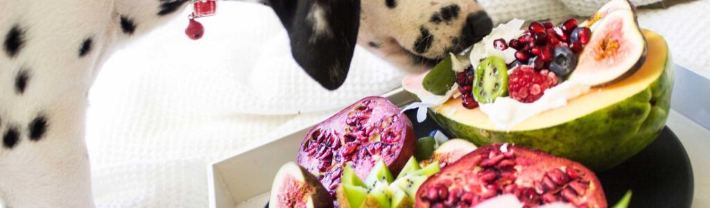 fruits pour chien