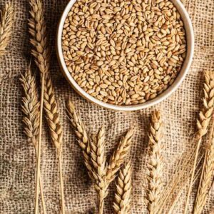 le gluten, des protéines du blé