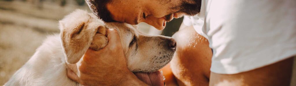 harpagophytum pour chien