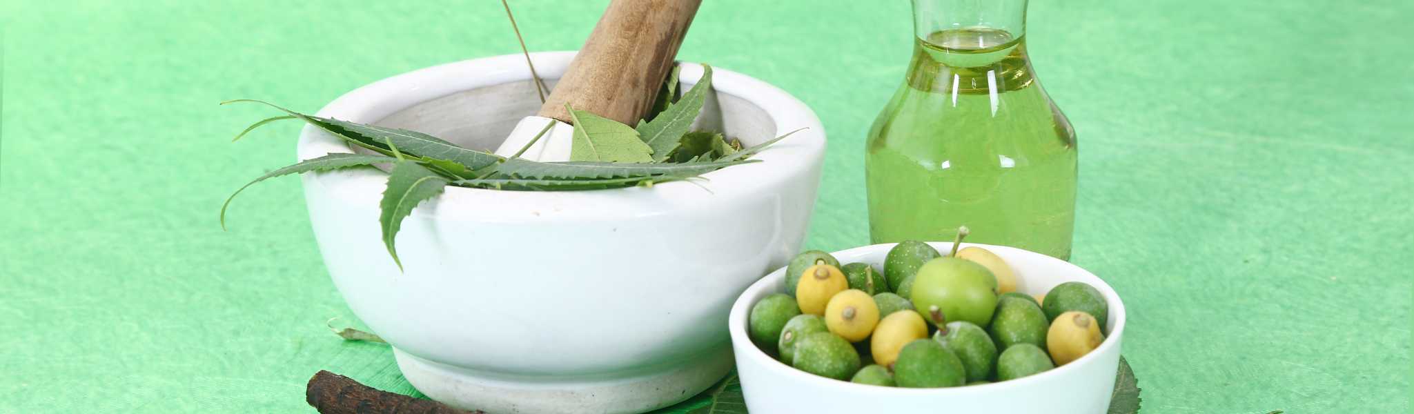 Huile de Neem pour Chien : Un allié précieux et naturel pour son bien-être dermatologique