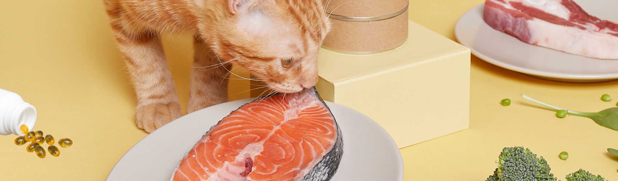 Huile de saumon - Pure Oméga 3 - Chien & Chat - Marly & Dan