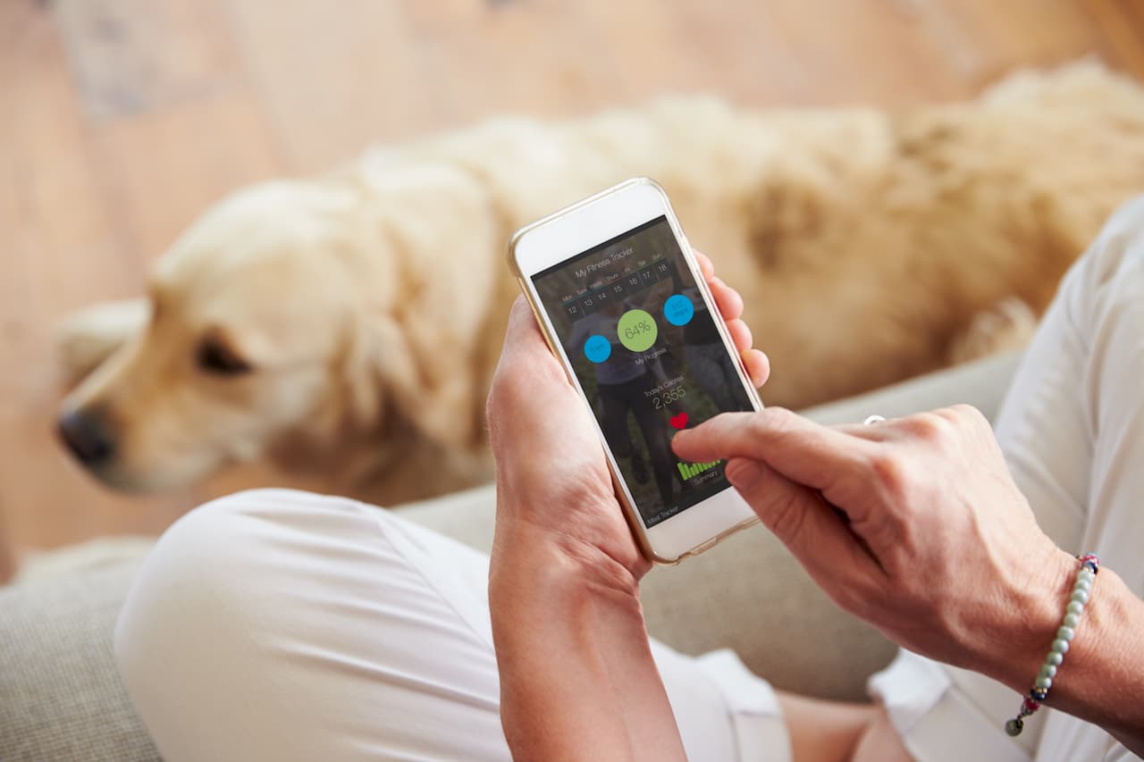 Intoxication du chien : comment agir ?
