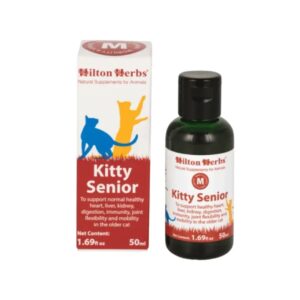 Kitty Senior - Chat - Hilton Herbs