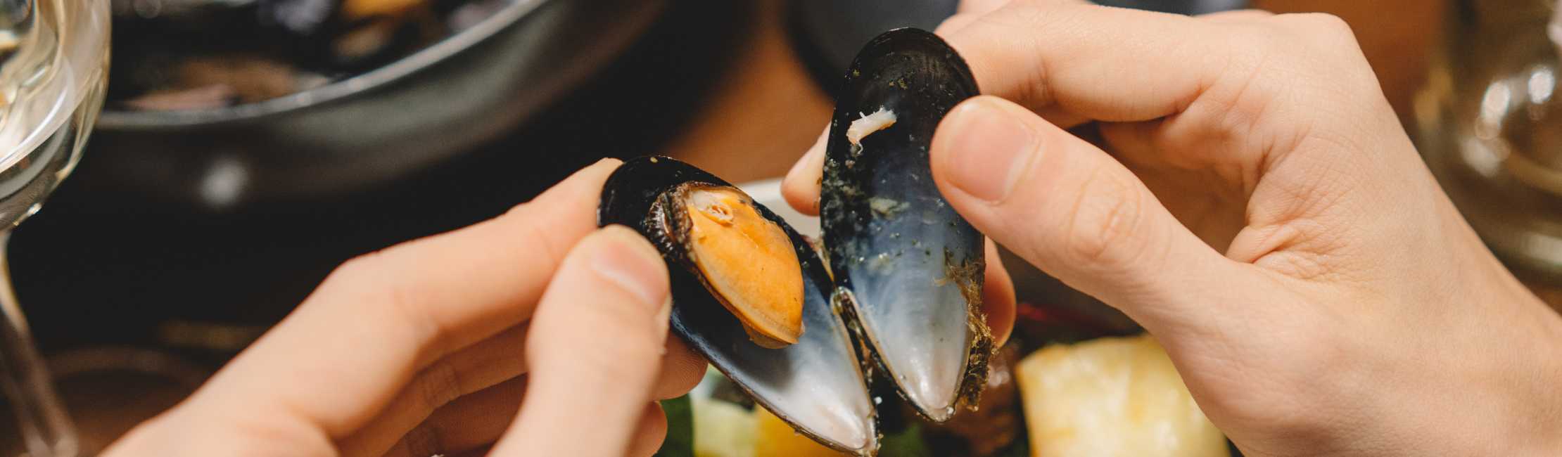 Des moules dans la gamelle de votre chien : Bonne ou Mauvaise idée ?