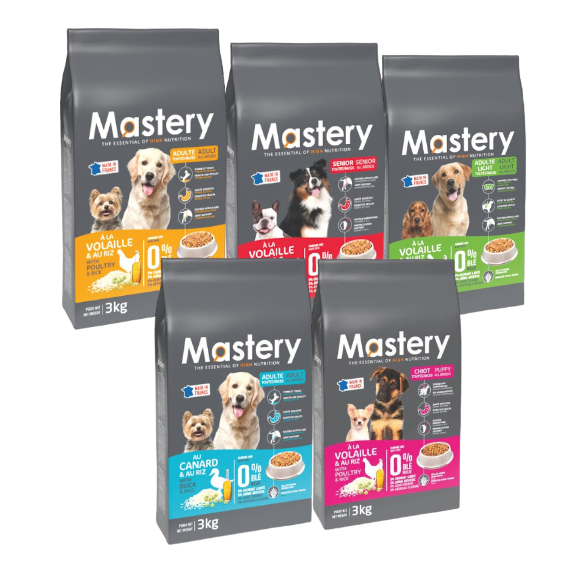 Mastery Chien Adulte au Canard