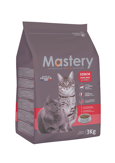 Mastery Chat Senior