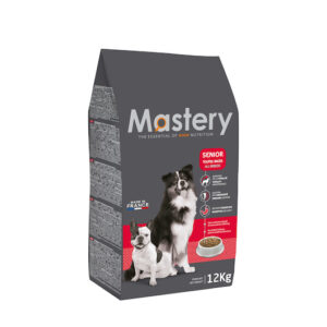 Mastery Chien Senior