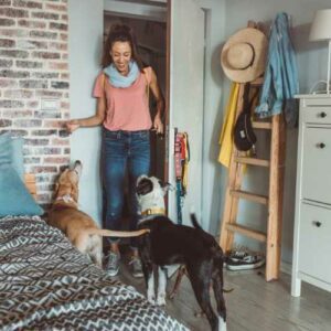 pet sitter pour promener son chien