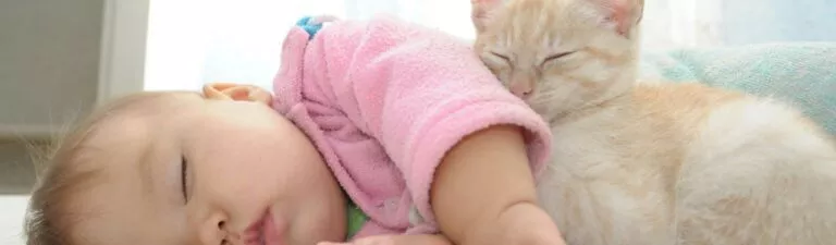préparer l'arrivée de bébé pour un chat serein