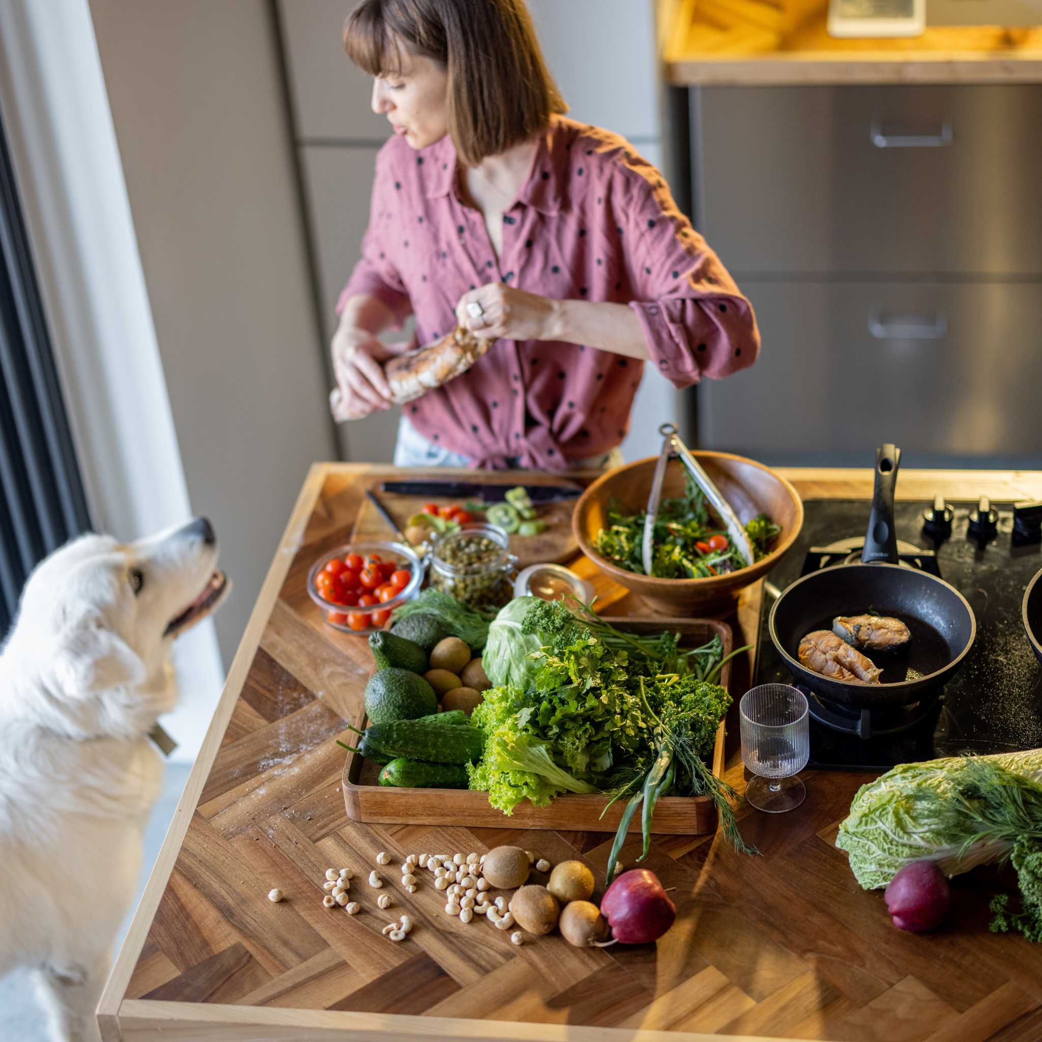 préparer maison le repas de son chien