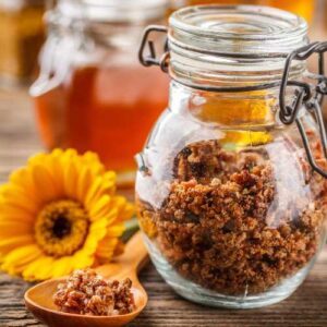 propolis : substance produite par les abeilles