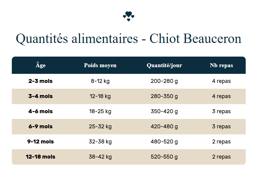 quantité de croquettes chiot beauceron