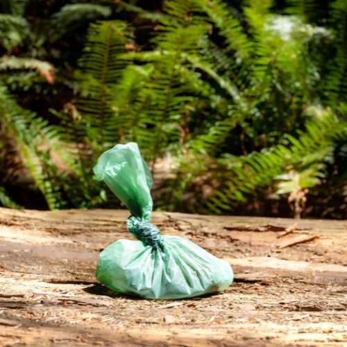 ramasser les crottes de son chien pour limiter la coprophagie