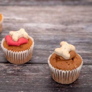 recette de friandises saines pour chien