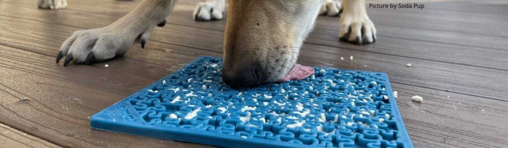 recette tapis de léchage pour chien