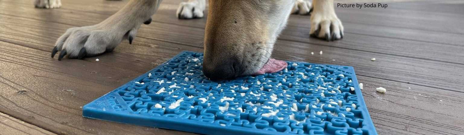 4 idées de recette pour garnir le tapis de léchage de votre chien