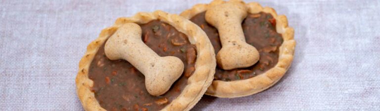 recettes de friandises pour chiens