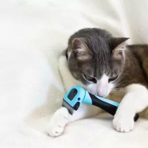 shedder ou furminator pour chats
