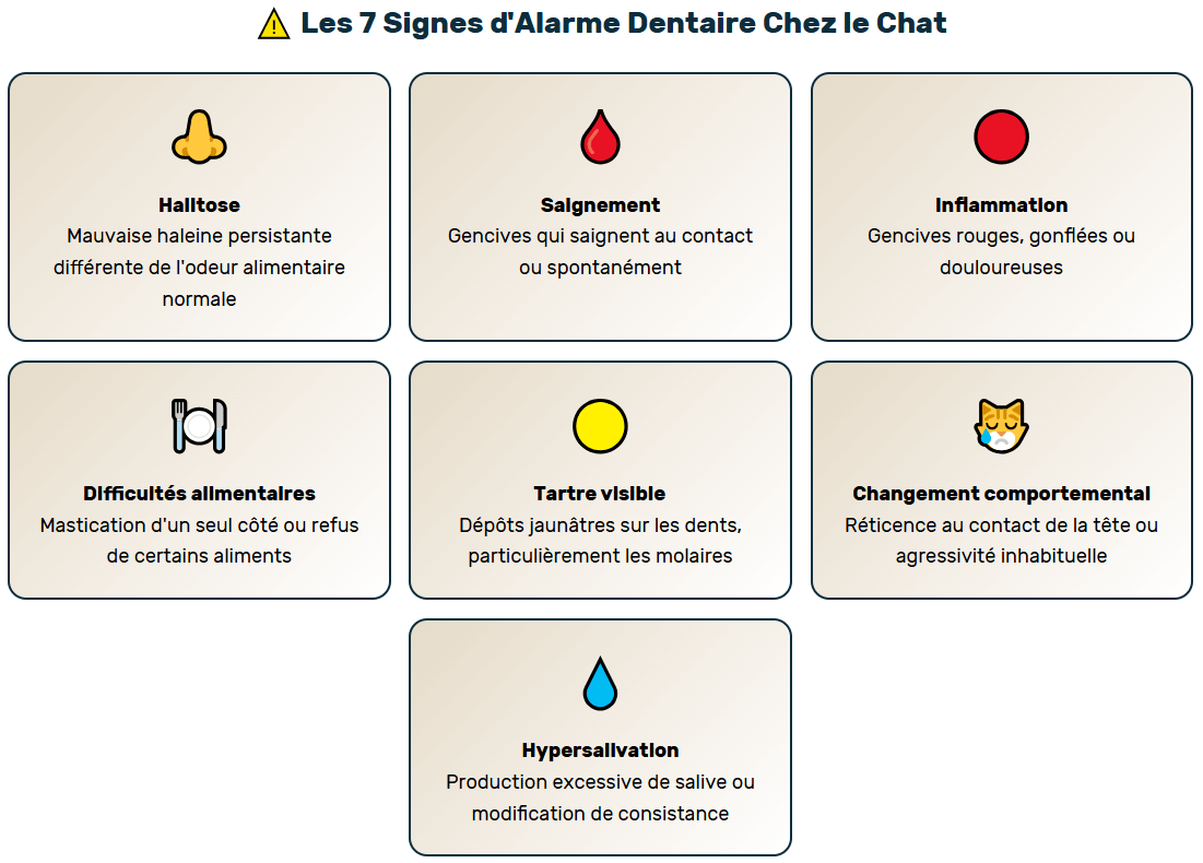 signes de problèmes dentaires chez le chat