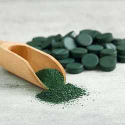 spiruline complément alimentaire naturel chien