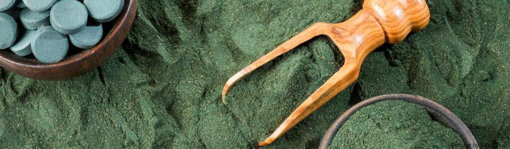 spiruline pour chien