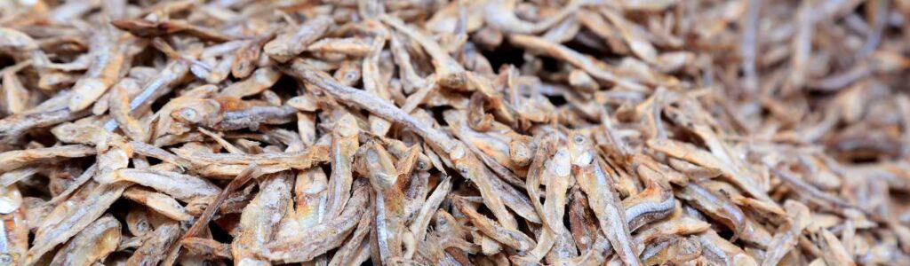 sprats séchés pour chien