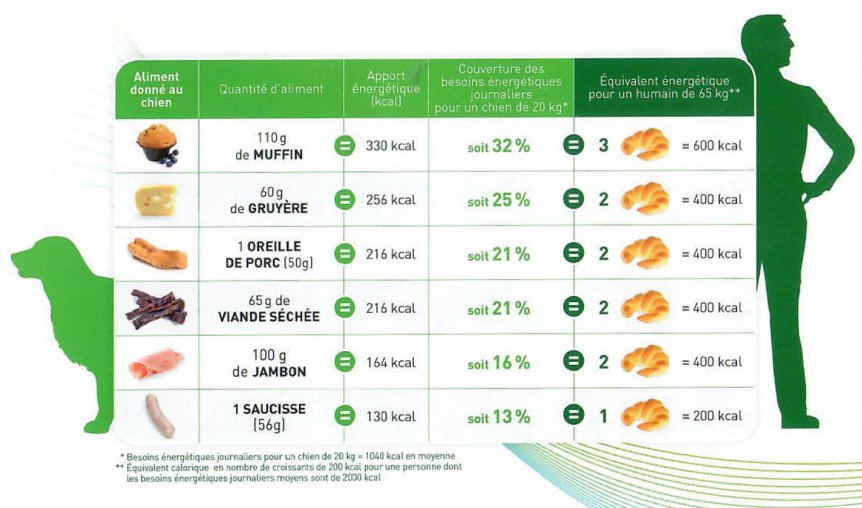 tableau conversion friandises chien / homme