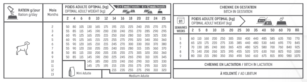 tableau de rationnement croquettes tonivet chien junior petites et moyennes races