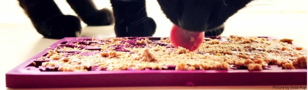 tapis de lechage pour chat
