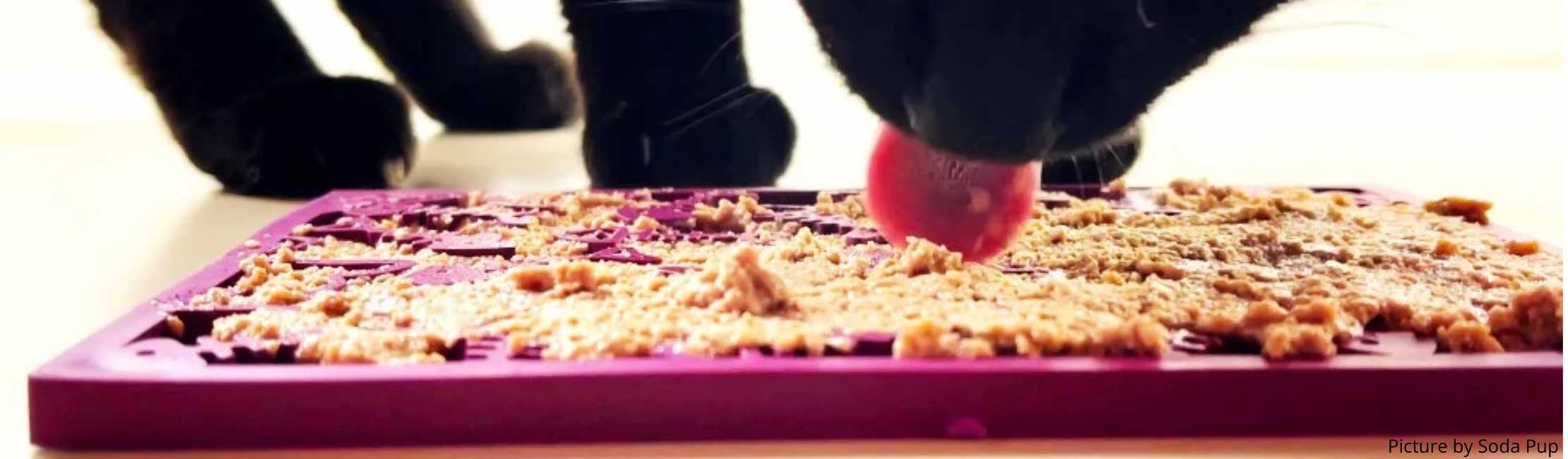 Tapis de léchage pour chat : Un allié révolutionnaire contre le stress et l’ennui félin !